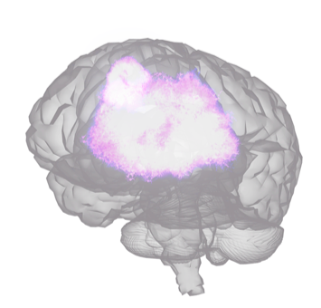 brainviz emotiv brain scan visualization